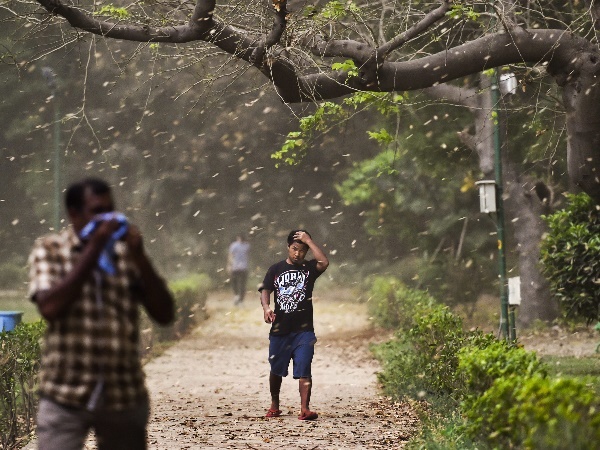 दरगाहों को भी अलर्ट पर रखा है