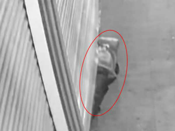 VIDEO: शटर बंद होने के बावजूद दुकान में घुस गया चोर