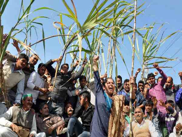 3:- भारी पड़ी दलितों की नाराजगी