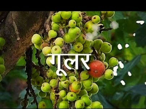 शुक्र को मजबूत करने हेतु