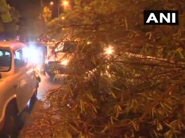 delhi,weather, weather report, weather, rain lashes delhi, rain