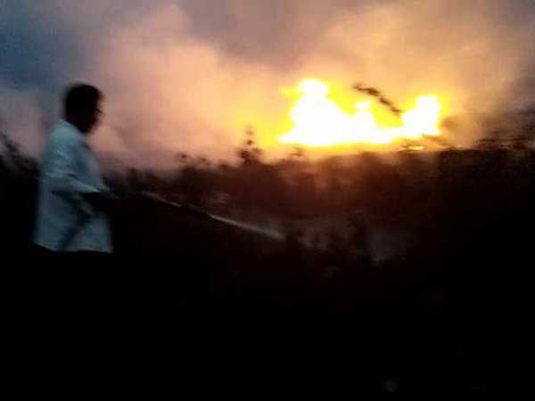 Kannauj: Fire broke out by the lake near Lakh Bahosi Sanctuary engulfing an area of 3 km