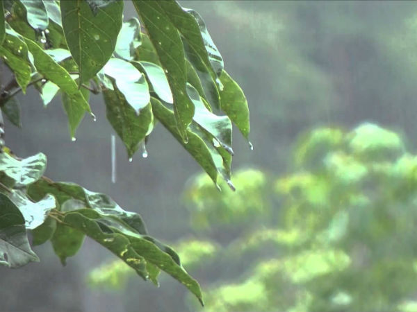 अच्छी बारिश की बात सुन किसानों के चेहरे खिले 