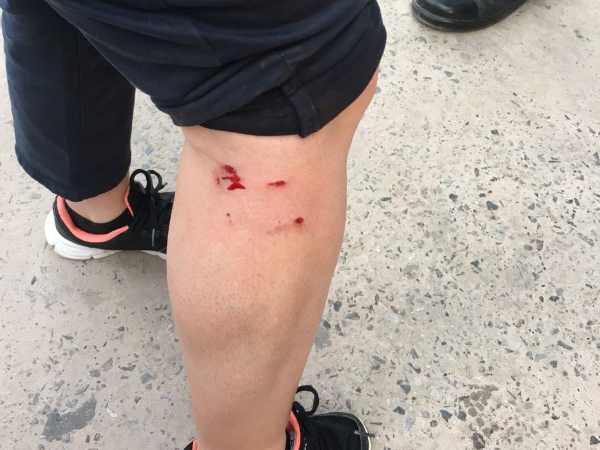 Monkeys attacked on foreign tourists in Agra