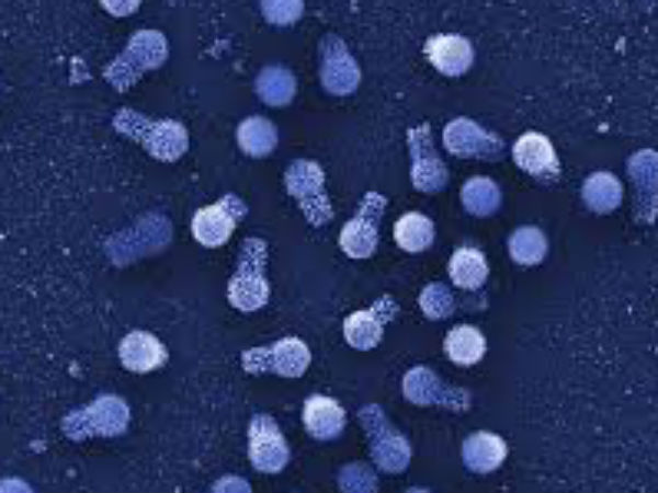 संक्रमित रोगी से दूर रहें संक्रमित रोगी से दूर रहें