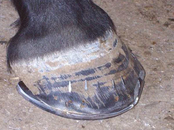 नजर दोष से पीड़ित हैं तो नजर दोष से पीड़ित हैं तो