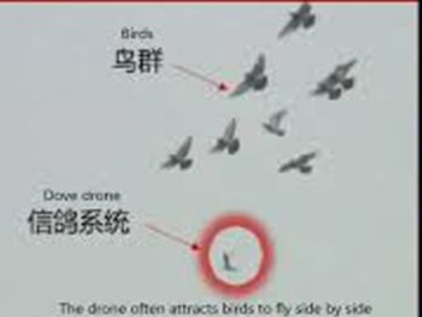 पहली बार 2012 में बनाया गया था ये ड्रोन पहली बार 2012 में बनाया गया था ये ड्रोन