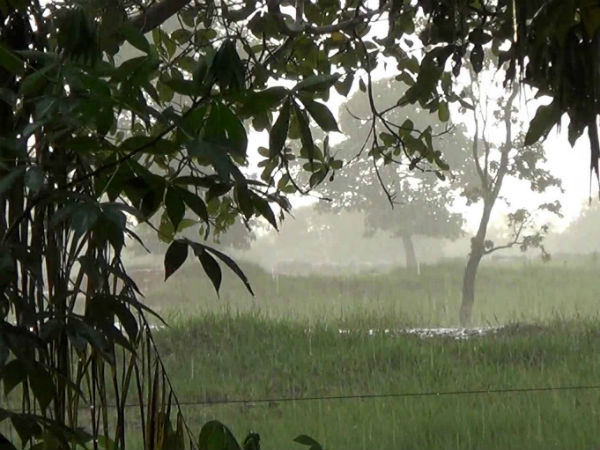  पूरे सीजन में 97% बारिश होगी