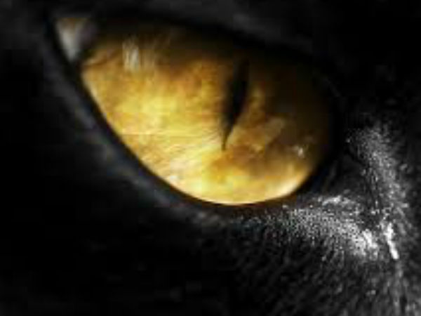 कुयोग में किसी से उधार नहीं लेना चाहिए 