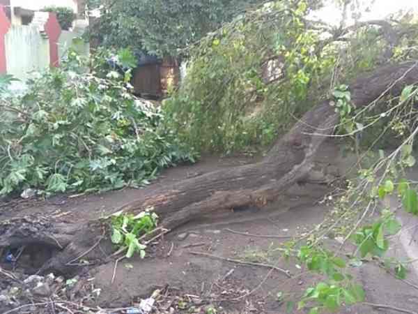 Three killed in storm in Sambhal