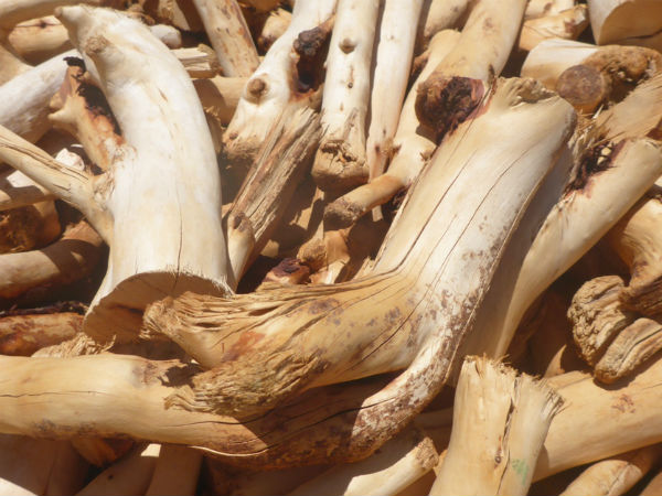 चंदन का तिलक