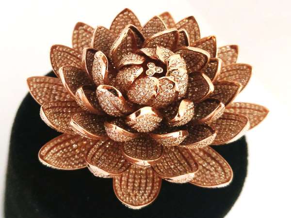 अमेरिका देखी अनोखी अंगूठी तो आया आइडिया