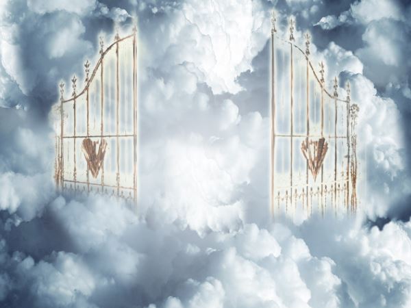 मैं जीसस के कहने पर ही ये सब कर रहा