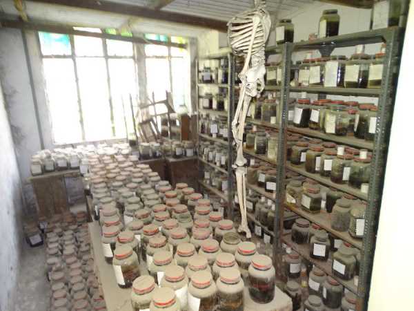 सालों से 2800 से भी ज़्यादा बिसरा पड़ा था