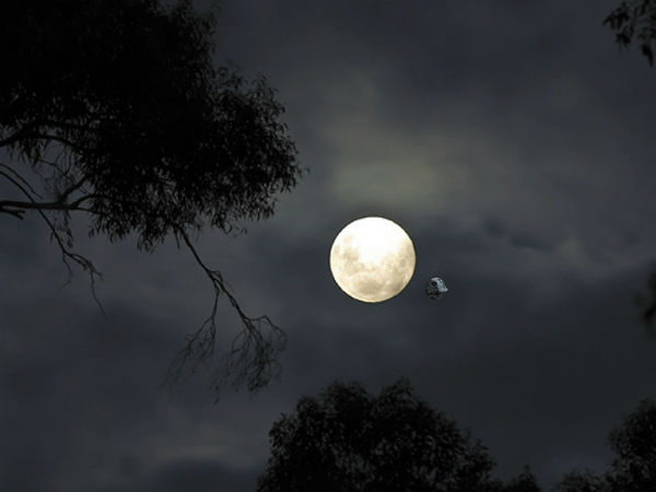 गर्भवती स्त्रियां क्या करें गर्भवती स्त्रियां क्या करें