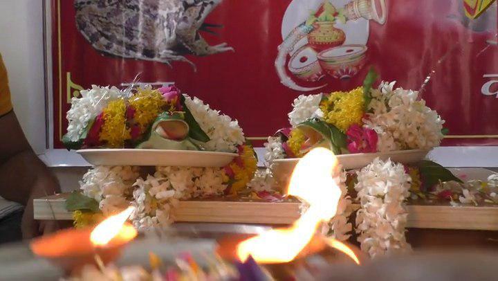 Wedding of frog in Varanasi