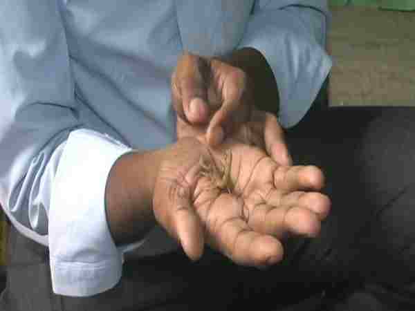 बच्चों को पढ़ाने के साथ सांप पालने का शौक