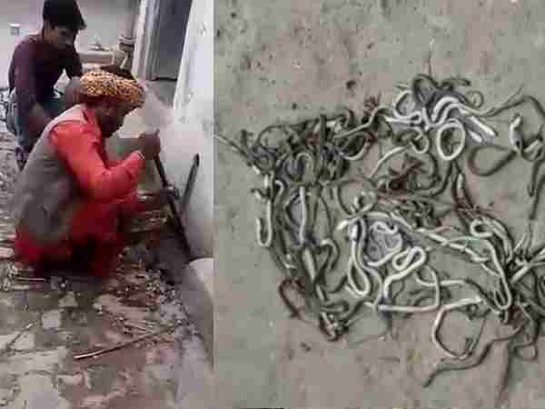 पड़ोसियों के घर में लिया आसरा पड़ोसियों के घर में लिया आसरा