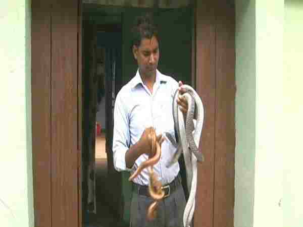 सांपों के संरक्षण के लिए चला रहे है मुहिम