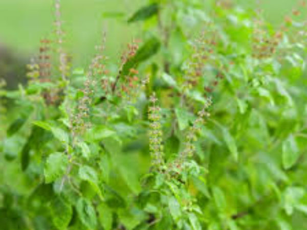 आकर्षण के लिए