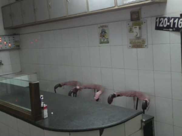 इंफेक्शन के कारण गई आंखों की रोशनी इंफेक्शन के कारण गई आंखों की रोशनी