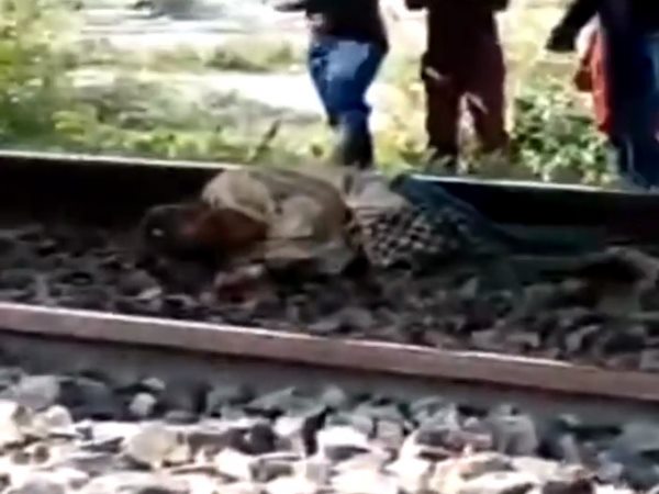 whole train passed over the man, but nothing happend to him, video
