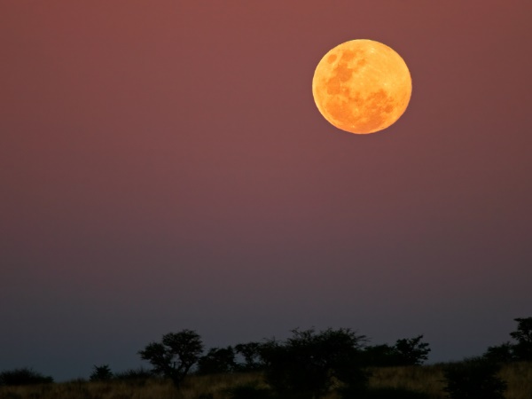 पितृ दोषों की शांति के लिए भी अमावस्या का दिन सर्वश्रेष्ठ