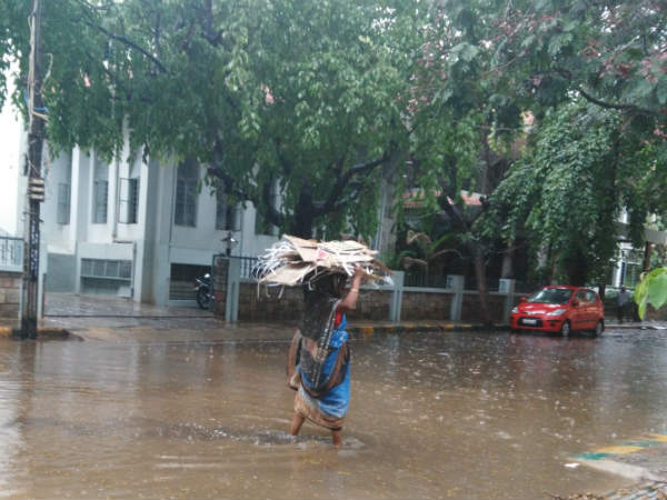 केरल में भारी बारिश से तबाही, 13 की मौत 