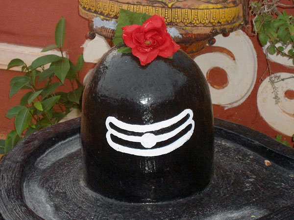 भगवान शिव को आप कच्चे दूध से नहलाएं