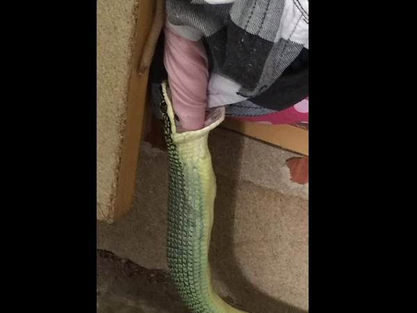 पति ने देखा, पत्नी की नाइटी निगल रहा था पति