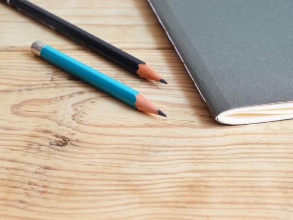 मीणा की लगन से खुश हैं उनके टीचर