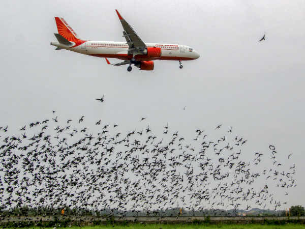 आखिर क्‍यों लिया भारत ने फैसला 