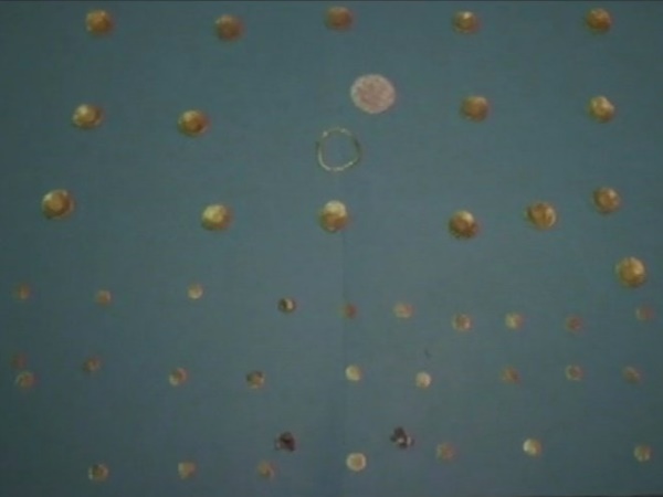 12वीं और 13वीं सदी के बताए जा रहे सिक्के