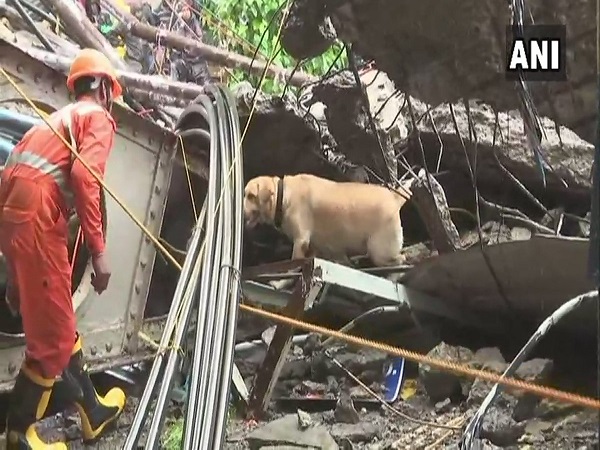 राहत और बचाव कार्य जारी राहत और बचाव कार्य जारी