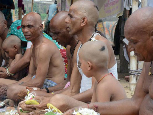 भूखे प्राणियों को भोजन कराएं... 