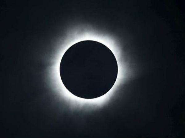  तुलसी के पौधे को नहीं छूना चाहिए