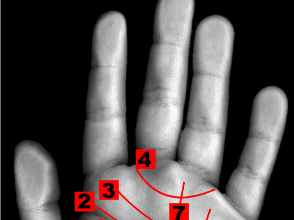 द्वीप का चिन्ह 