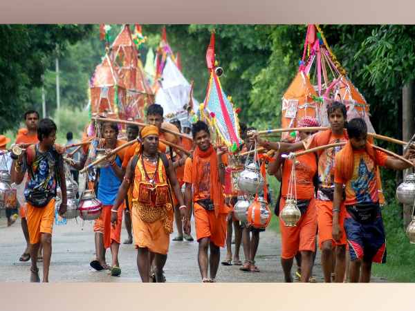 up police searching for bhang tree before kanwar yatra 