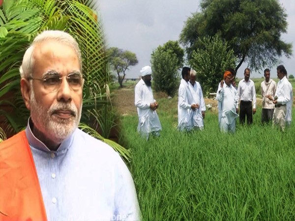 रागी के समर्थन मूल्‍य में क्‍यों की गई बंपर बढ़ोतरी 