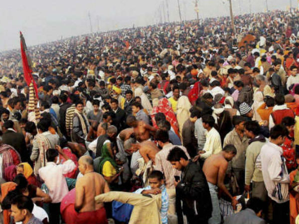 चींटियों को शकर मिला हुआ आटा खिलाएं