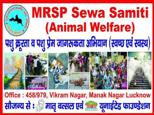 जहरीलें सांपों को बिना डर के पकड़ लेते हैं जहरीलें सांपों को बिना डर के पकड़ लेते हैं