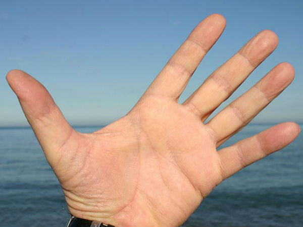 सूर्य रेखा की विशेषता