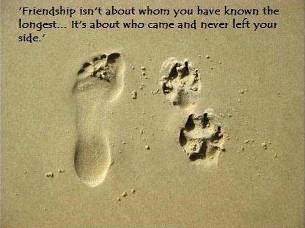  Friendship Day पर भेजिए दोस्तों को प्यार भरे ये संदेश 