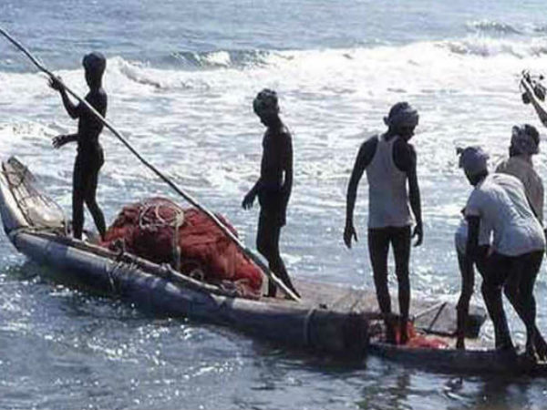  क्यों खास हैं घोल मछली