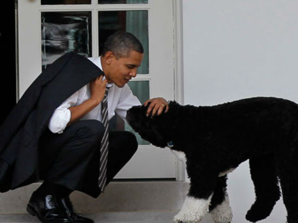 ओबामा का बो इंटरनेपर पर वायरल 