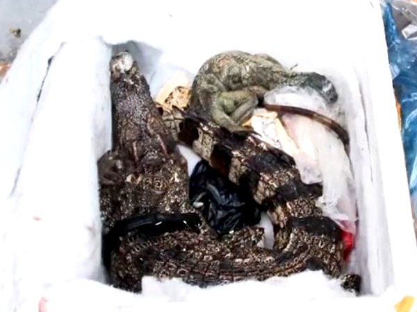 डिब्बे से आ रही थी गंध