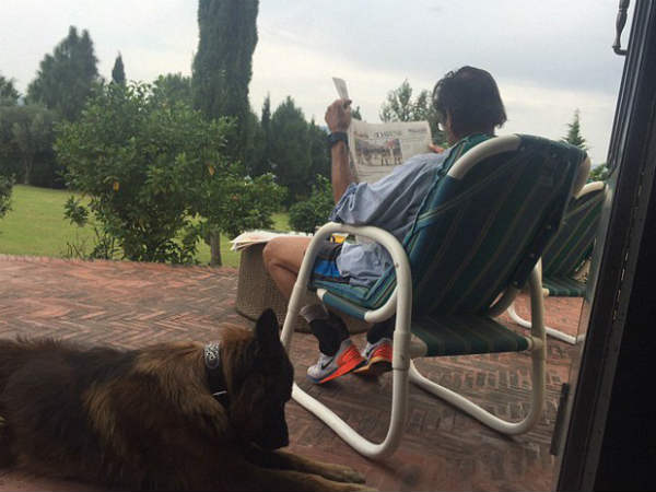 इसलिए बना कुत्‍तों पर विकीपीडिया पेज 