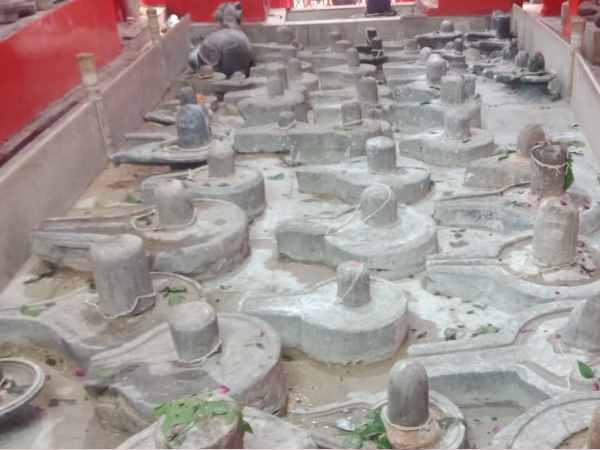 sawan special kashi vishvanath temple Ganga Sagar Yatra