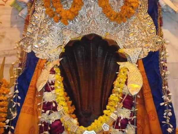 कैसे प्रयाग आये नाग वासुकी कैसे प्रयाग आये नाग वासुकी