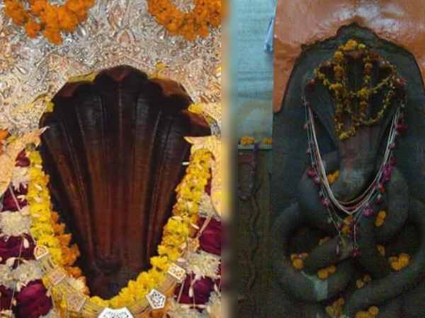 मंदिर में है शेषनाग और वासुकीनाग की मूर्तियां मंदिर में है शेषनाग और वासुकीनाग की मूर्तियां